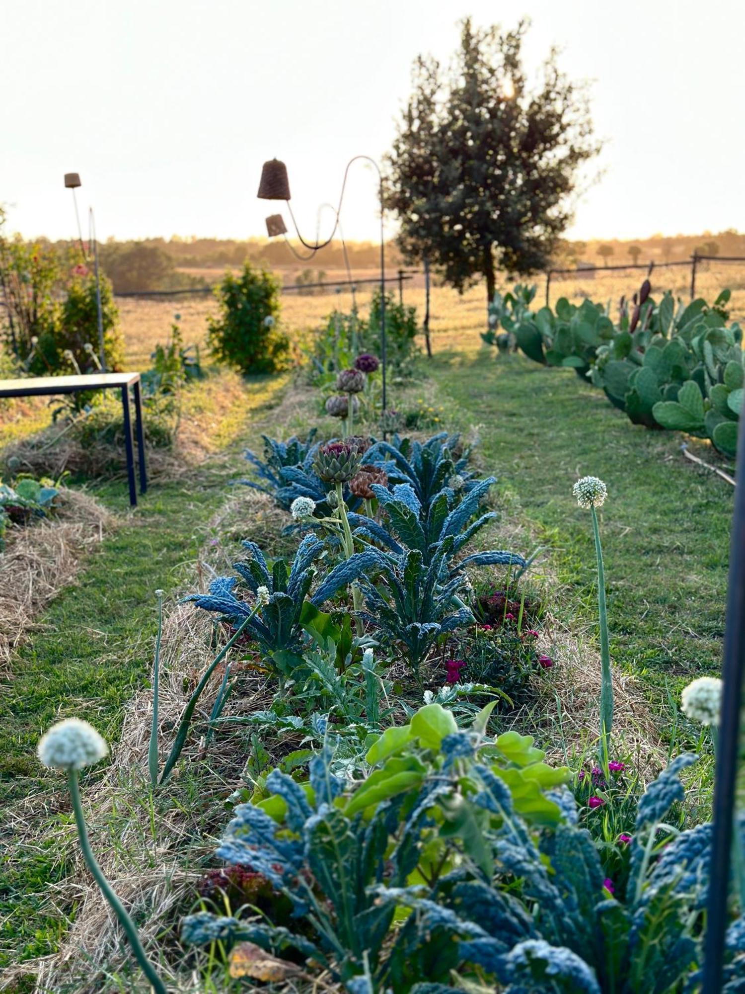Tenuta Di Paternostro فيترالّا المظهر الخارجي الصورة