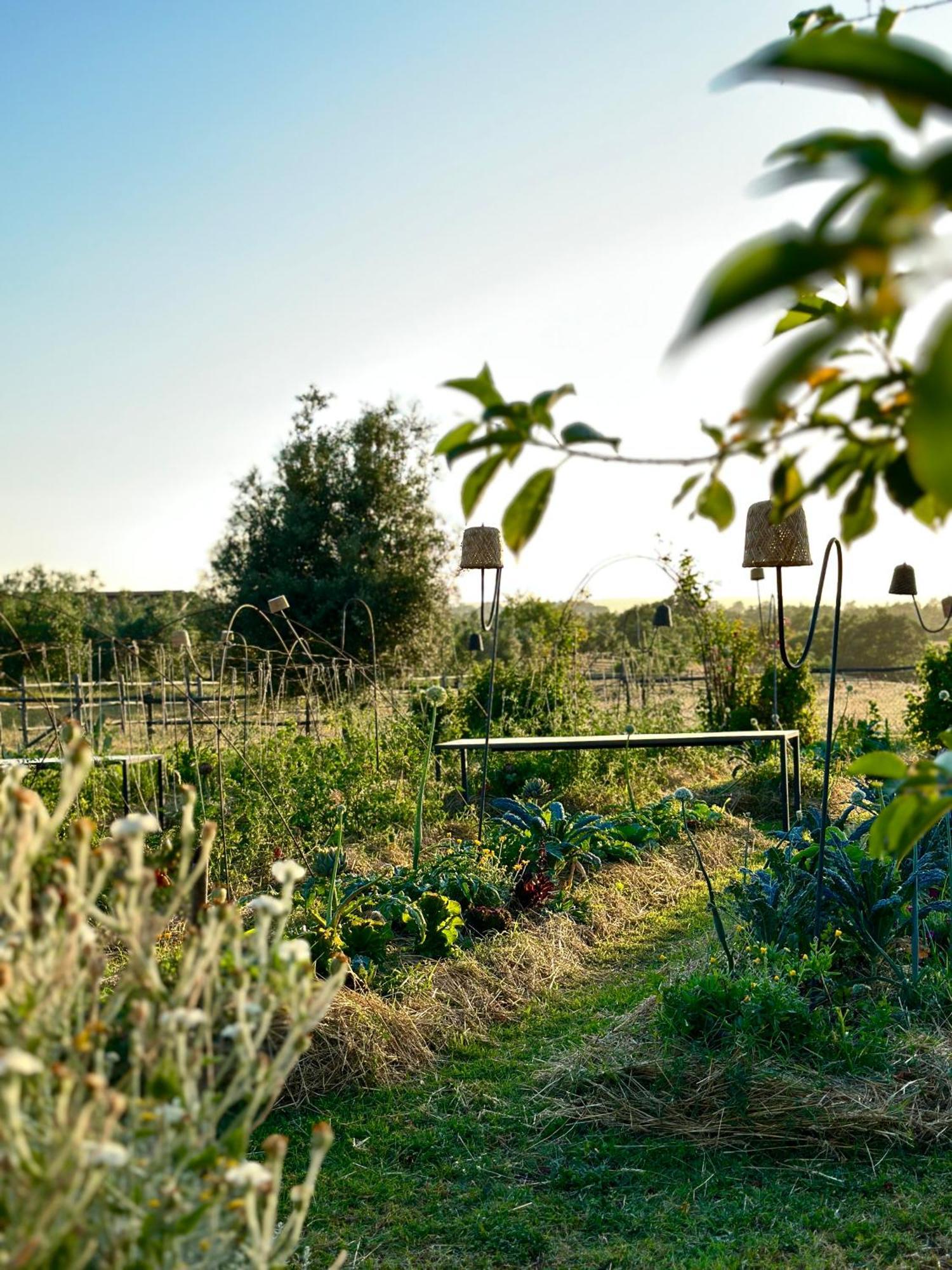 Tenuta Di Paternostro فيترالّا المظهر الخارجي الصورة