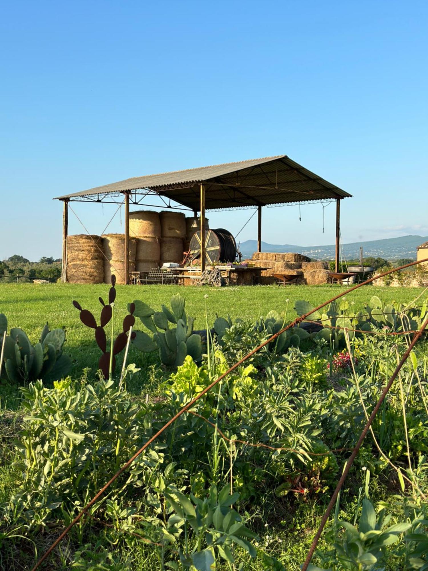 Tenuta Di Paternostro فيترالّا المظهر الخارجي الصورة